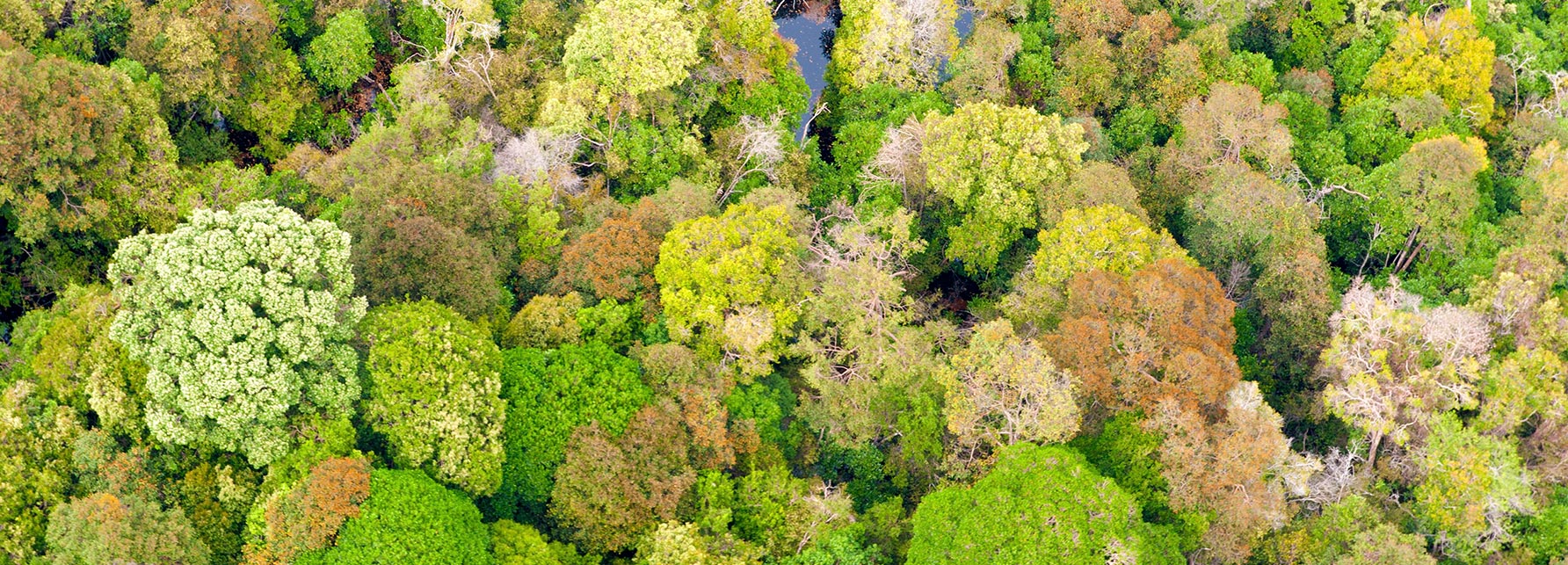 Z6·尊龙「中国」官方网站