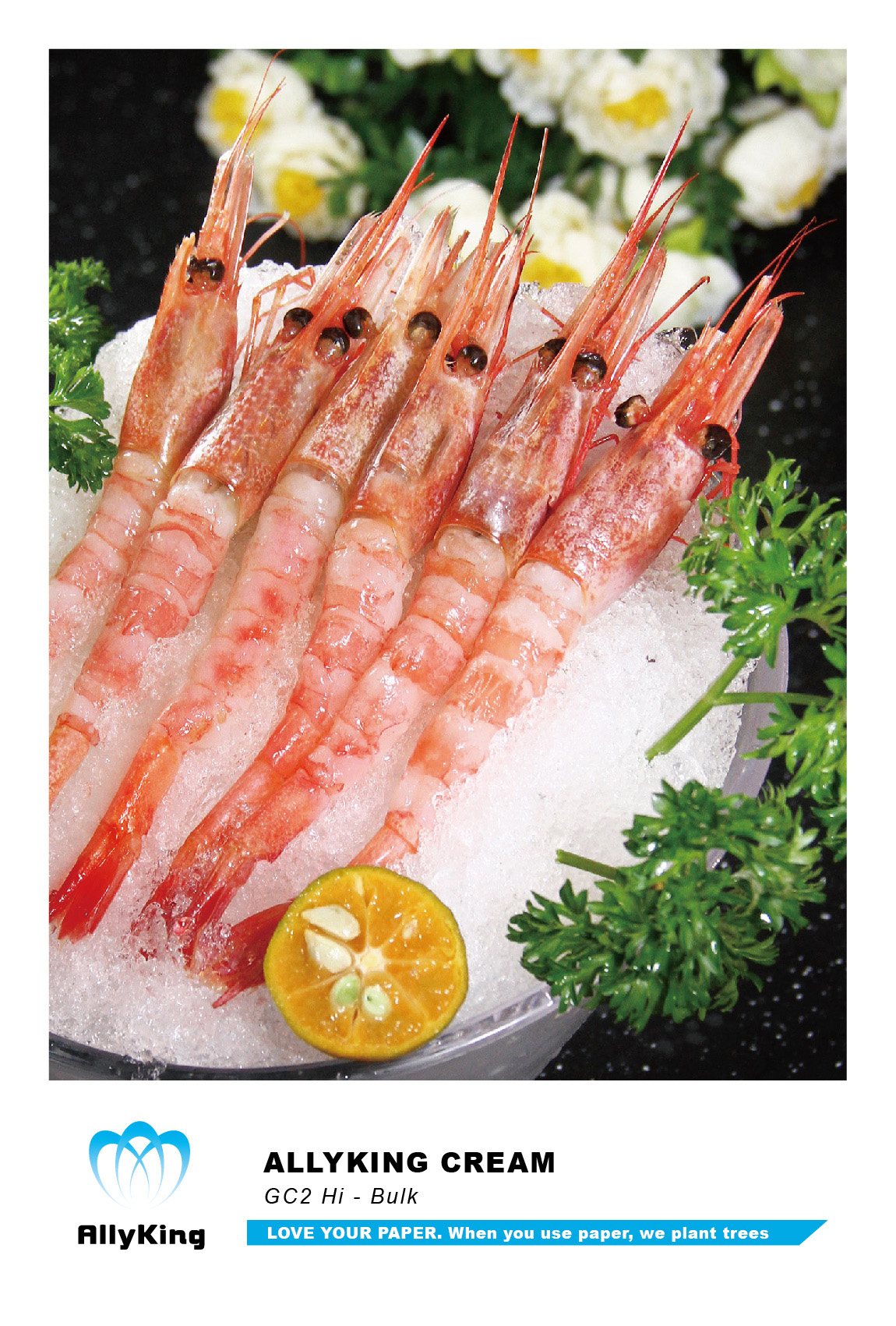 Z6���������й����ٷ���վ