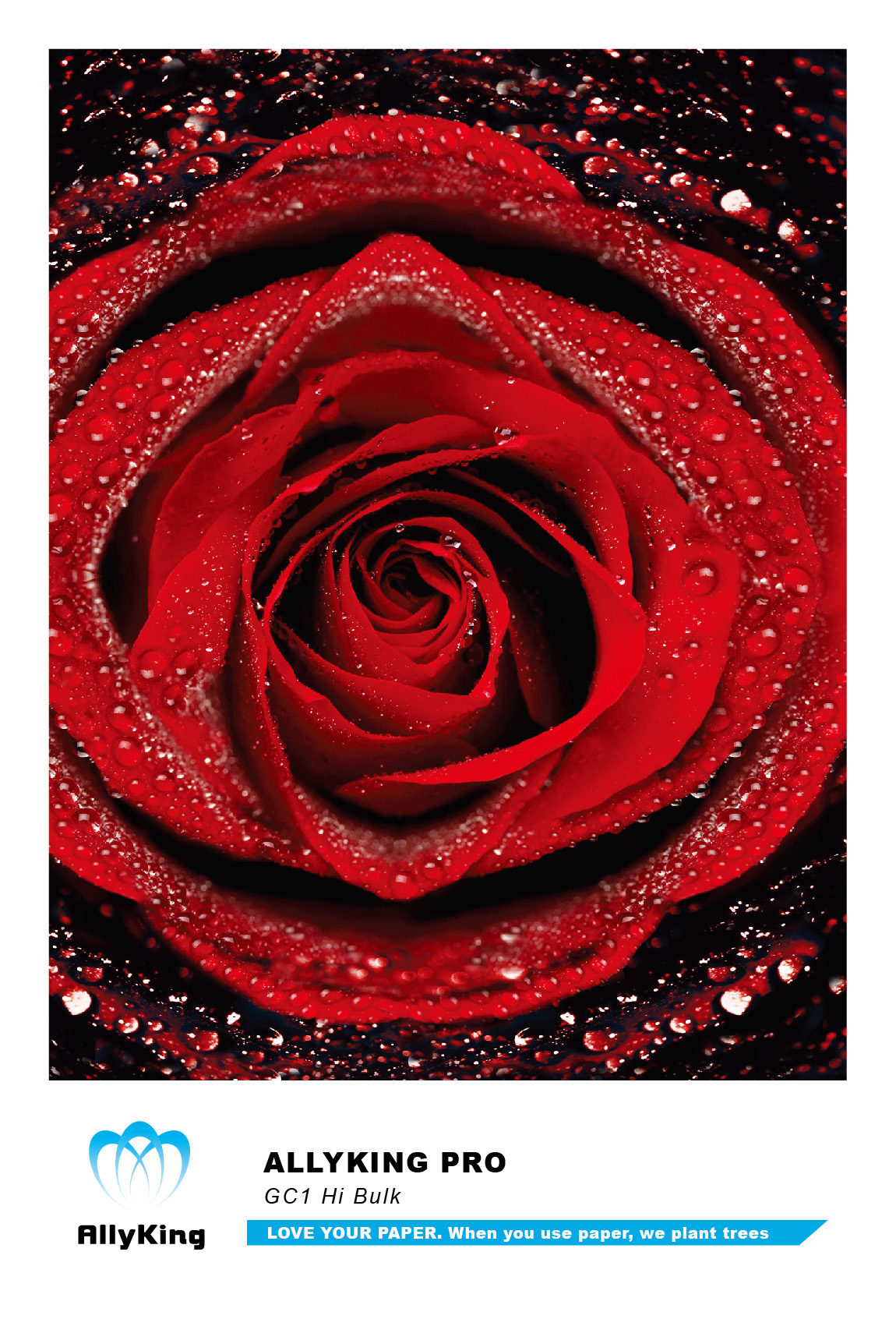 Z6·尊龙「中国」官方网站