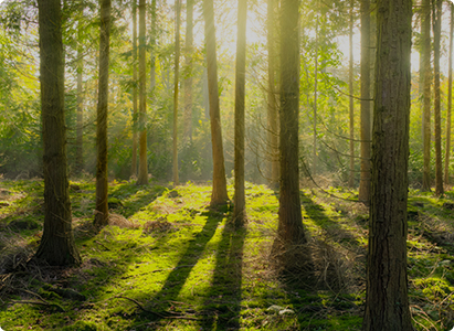 Z6���������й����ٷ���վ