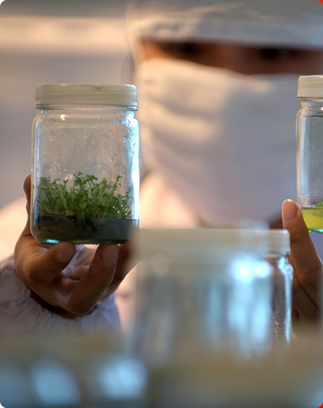 Z6���������й����ٷ���վ