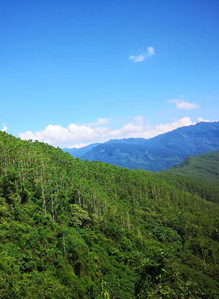 Z6���������й����ٷ���վ