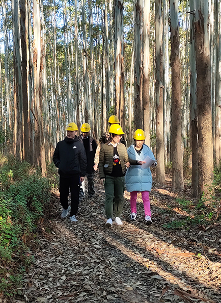 Z6���������й����ٷ���վ