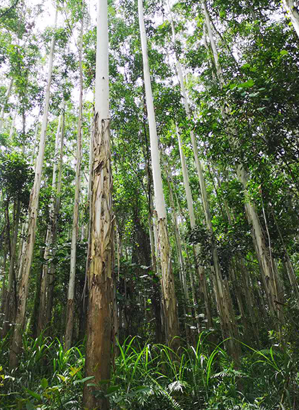 Z6���������й����ٷ���վ