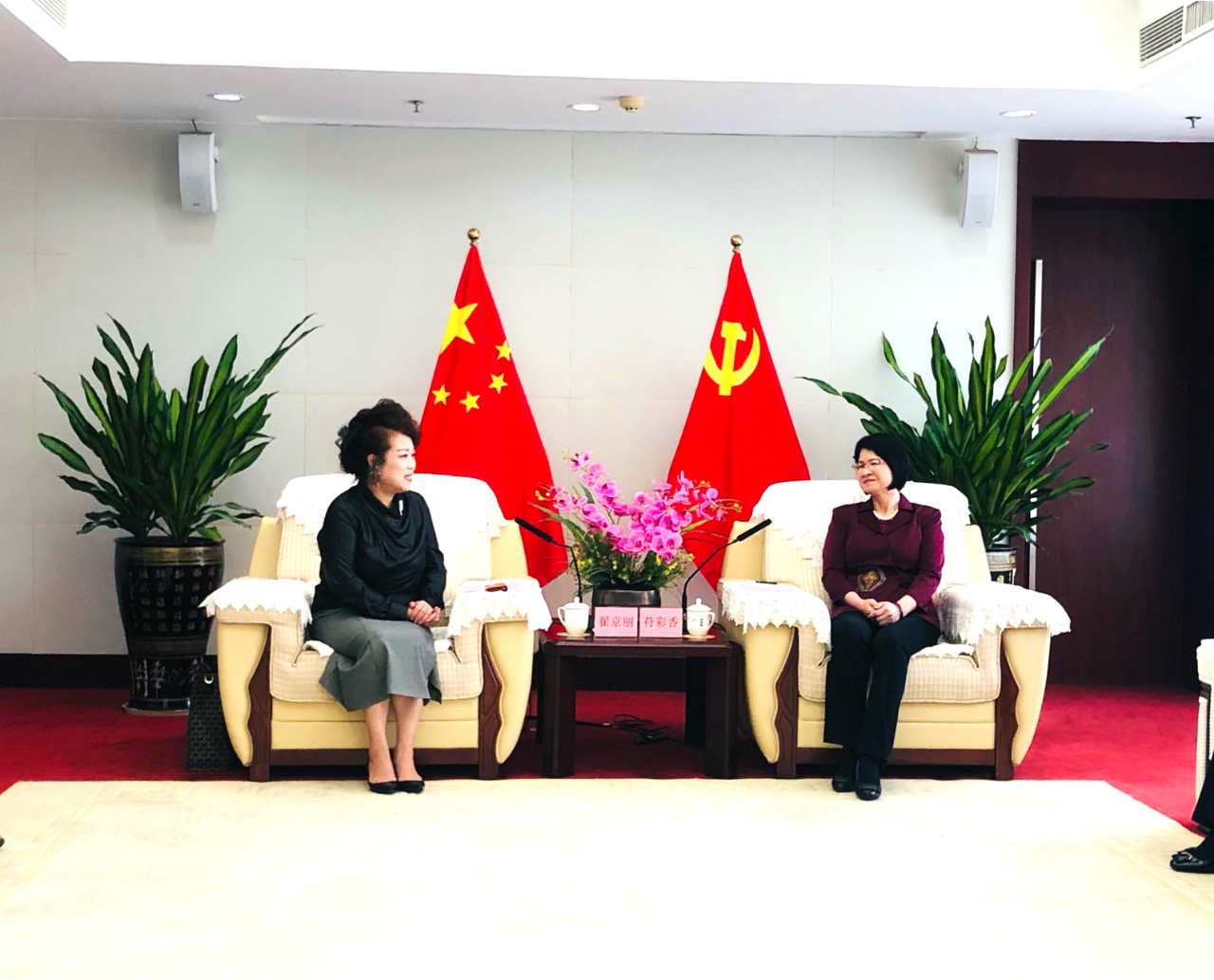 Z6���������й����ٷ���վ