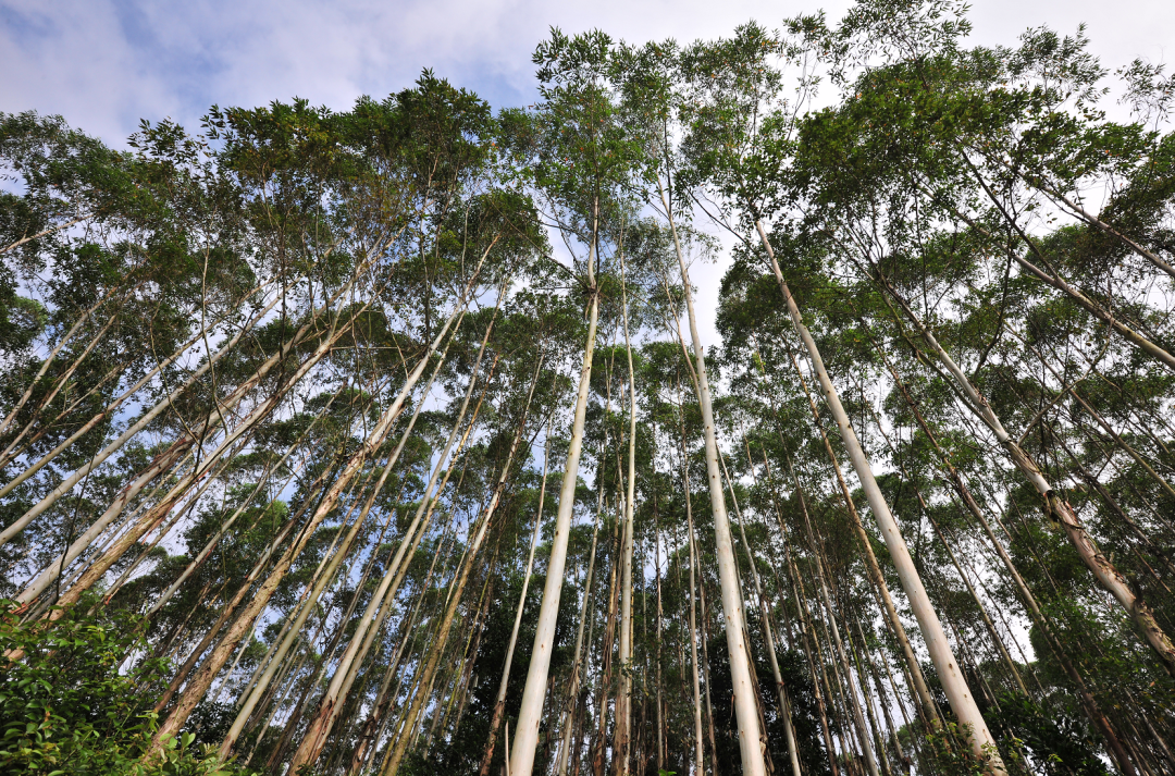 Z6���������й����ٷ���վ