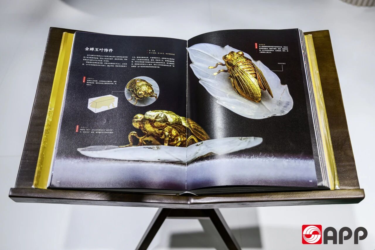 Z6·尊龙「中国」官方网站